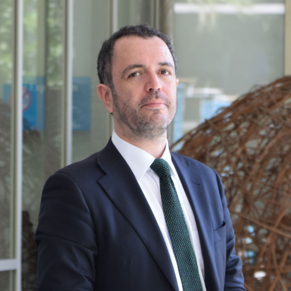 Felipe Bravo Alliende